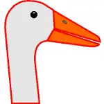 Mr. Goose